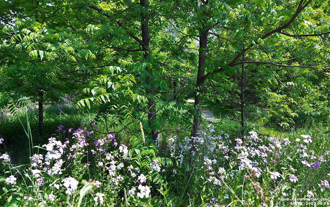68261CrLe - Walking along Millers Creek